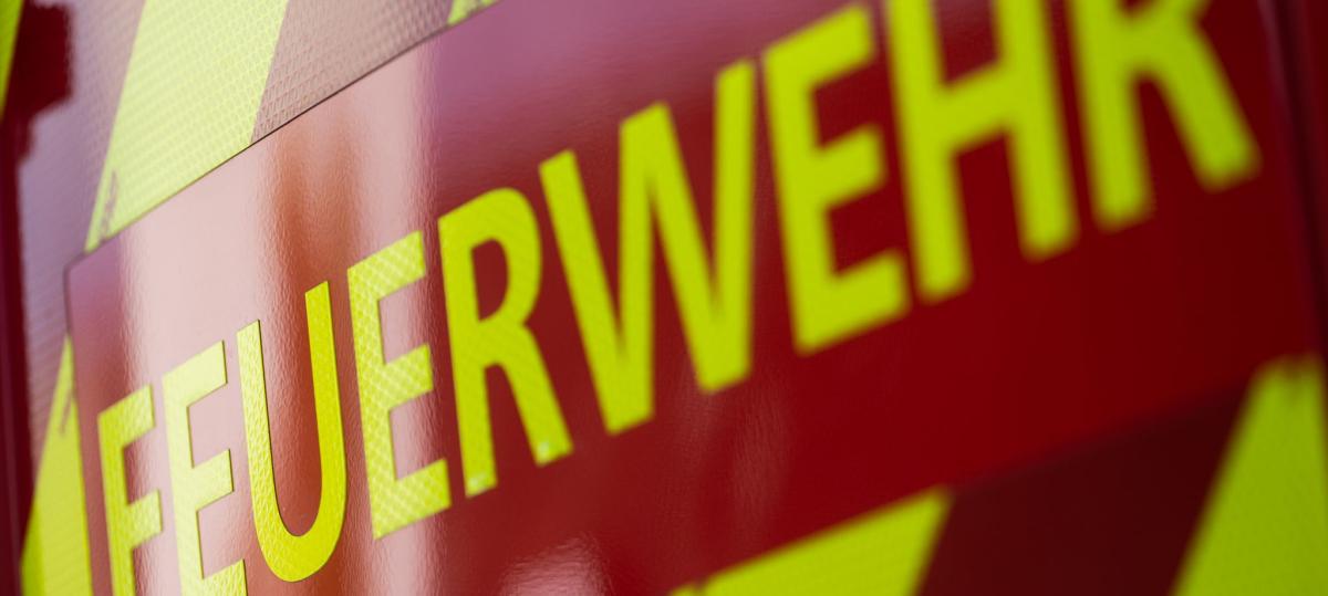 Asche im Kompost entsorgt: Thujahecke geht in Flammen auf