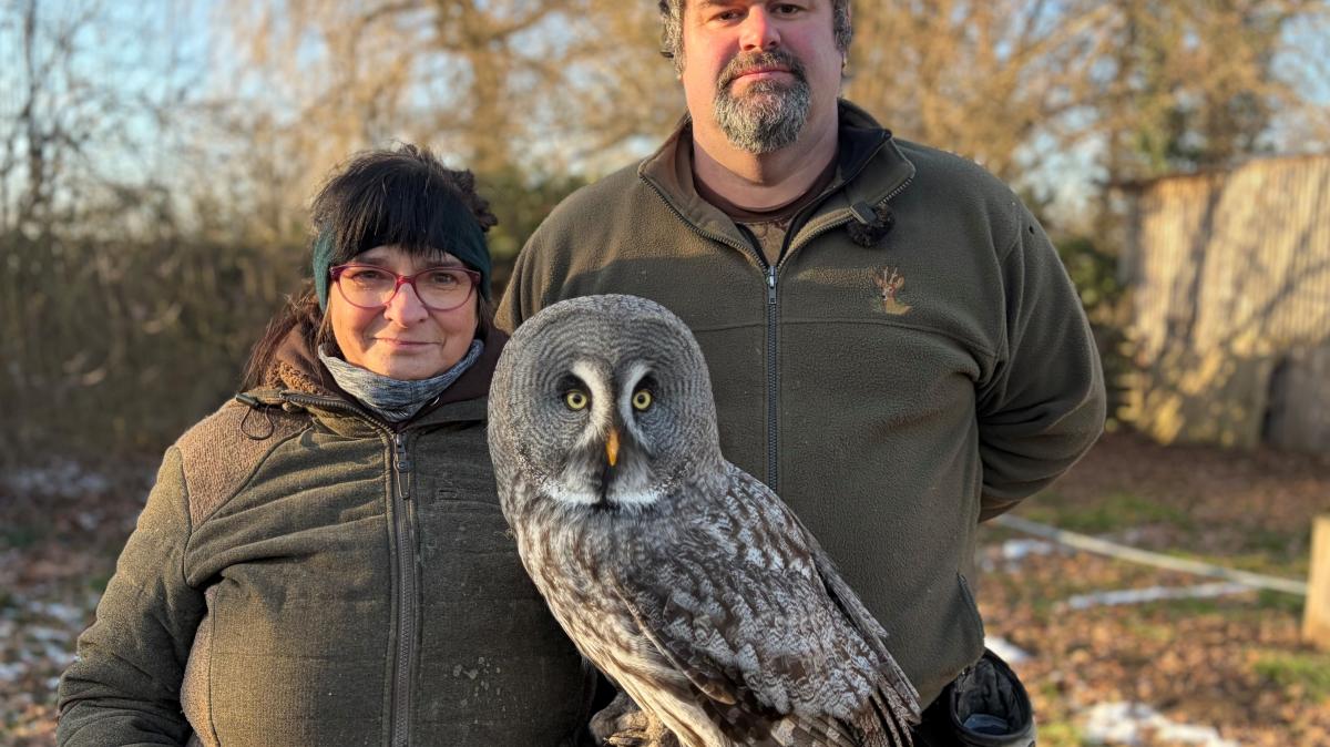 „Ein bisschen verrückt muss man sein“: Warum im Garten der Kühnles elf Wildvögel leben