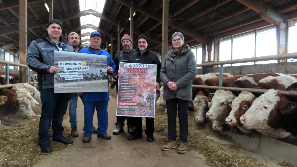 BBV-Stallgespr-ch-Landwirte-wie-der-Ebensfelder-Georg-Merklein-und-das-Mercosur-Abkommen