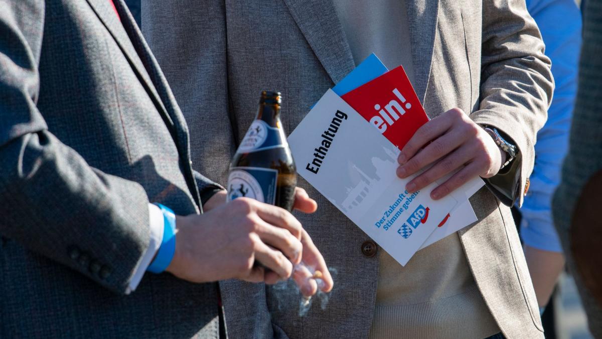 AfD-verliert-pl-tzlich-in-Umfrage-Schlechteste-Werte-seit-knapp-einem-Jahr
