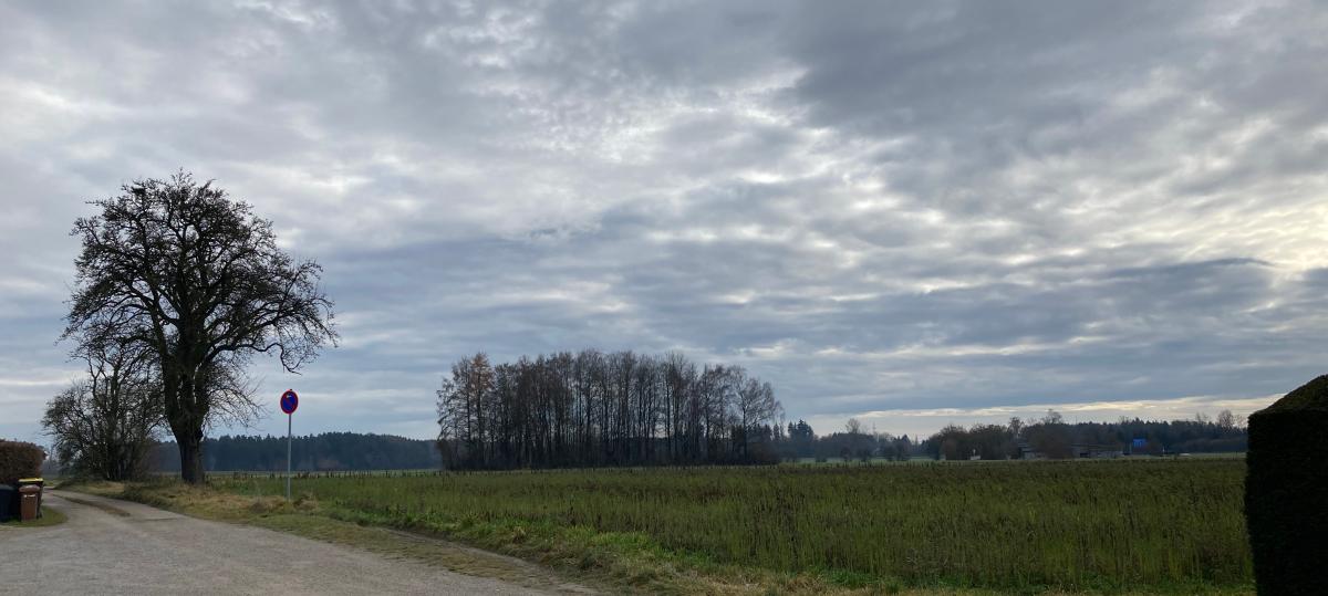 36 Wohnungen und 19 Einfamilienhäuser: In Aufheim entsteht ein neues Wohngebiet