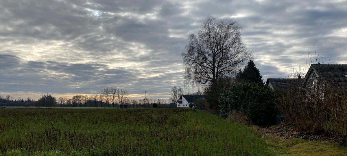 36 Wohnungen und 19 Einfamilienhäuser: Aufheim bekommt ein neues Wohngebiet