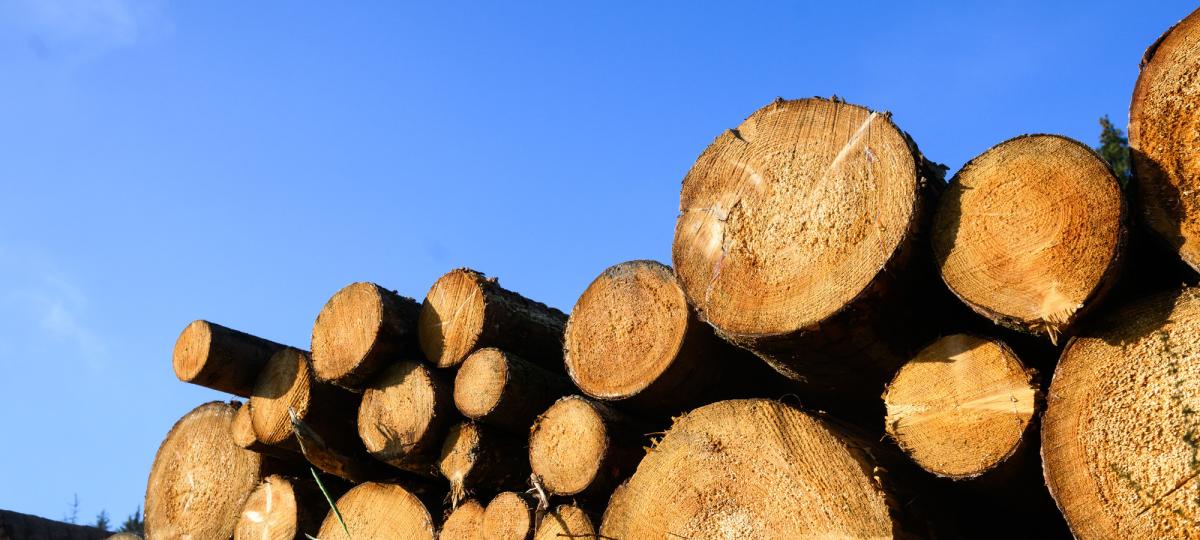 In Herrsching kommen Diebe mit einem Lkw