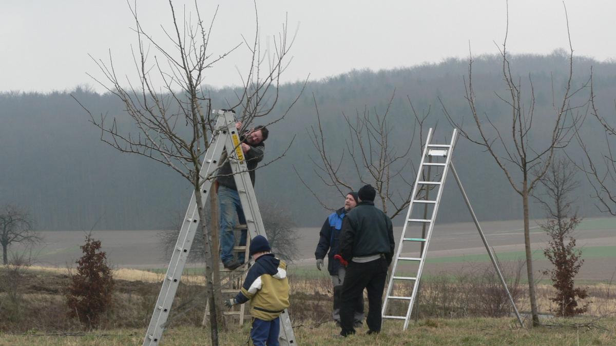 Streuobstschnittgut-auch-2026-kostenfrei-entsorgen