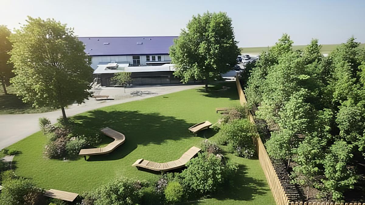 Tiny-Forest-in-Ingolstadt-Kleiner-Wald-gro-e-Wirkung