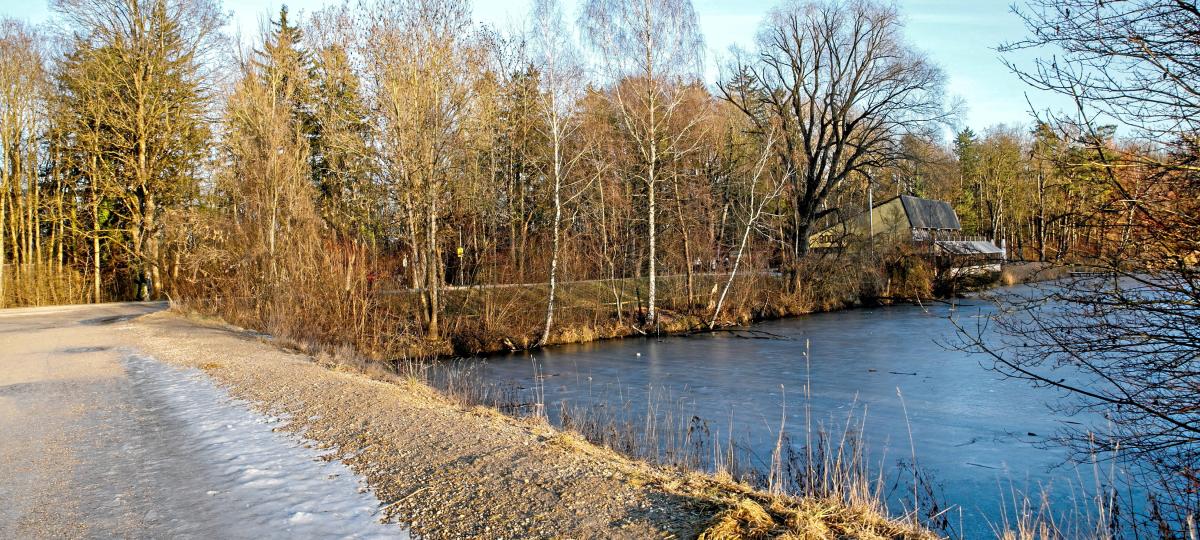 Im Kuhsee gibt es immer mehr Schlamm – das könnte die Ursache sein