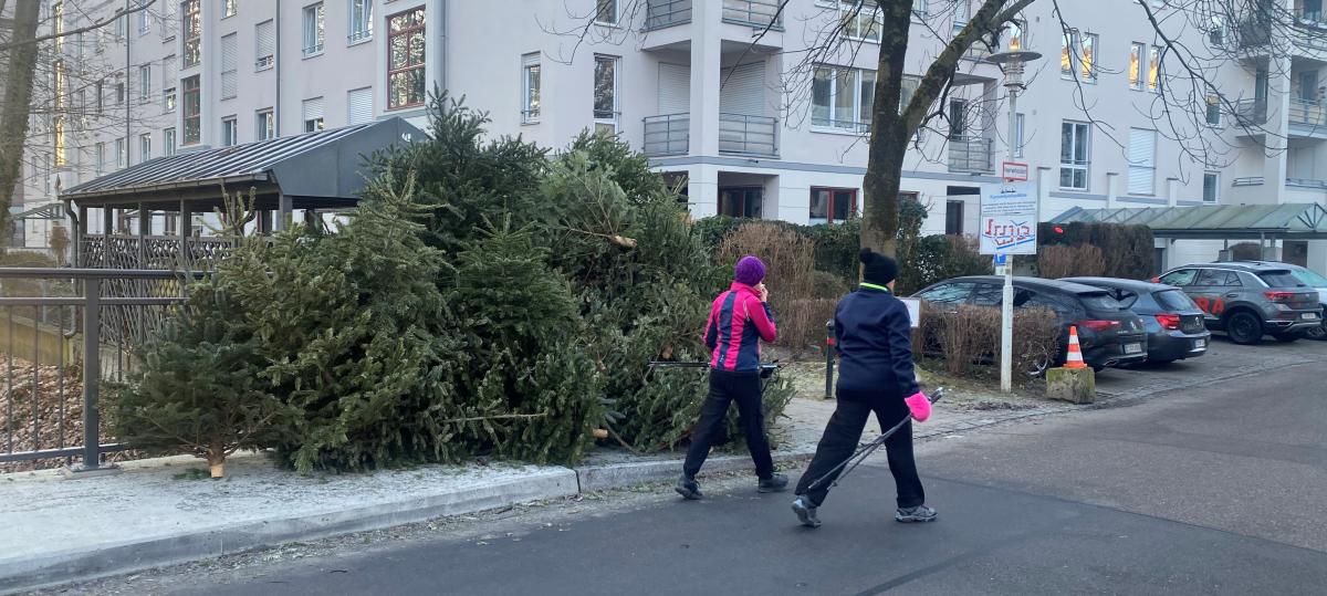Alle Jahre wieder: Ausrangierte Christbäume in Augsburg warten auf Abholung