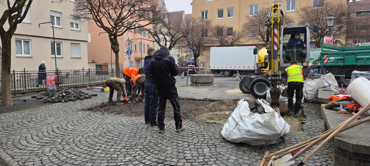 Großer Aufwand für drei neue Bäume in der Augsburger Altstadt
