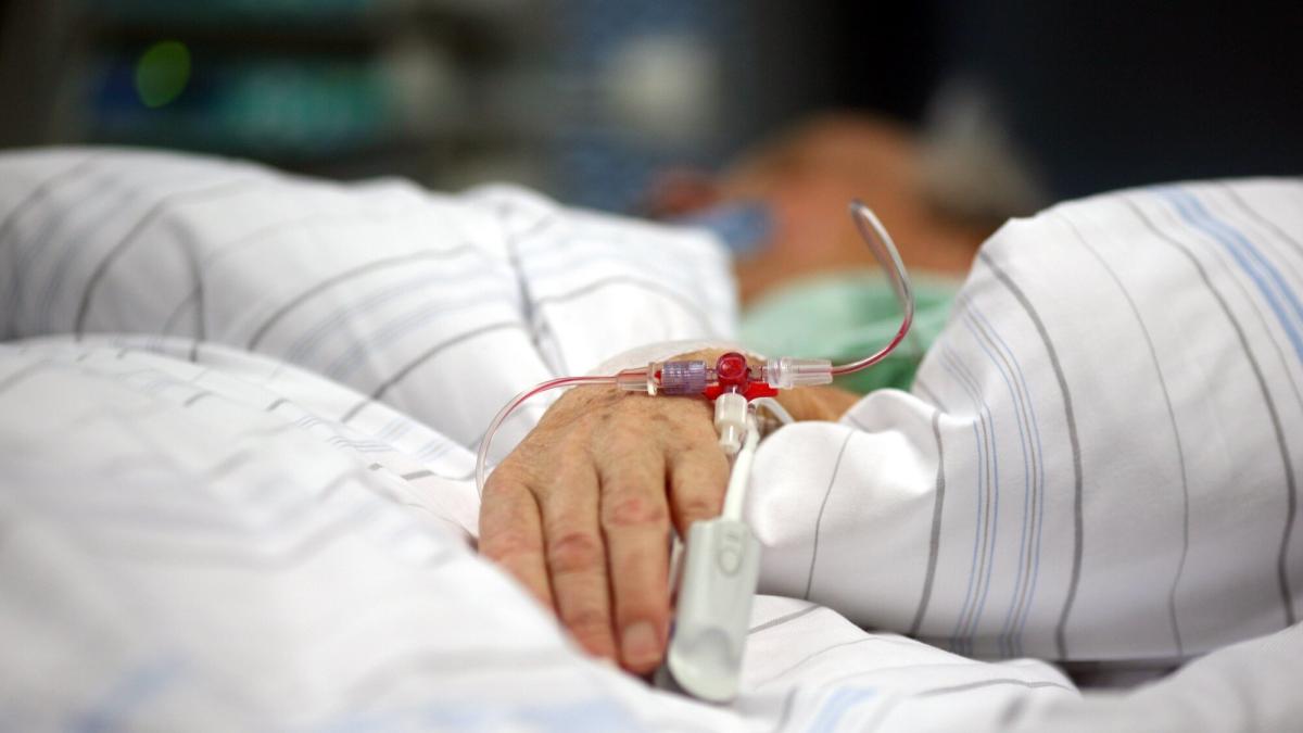 -Stiller-Killer-Borna-Virus-in-Bayern-wie-sich-Menschen-genau-infizieren-ist-noch-immer-unklar