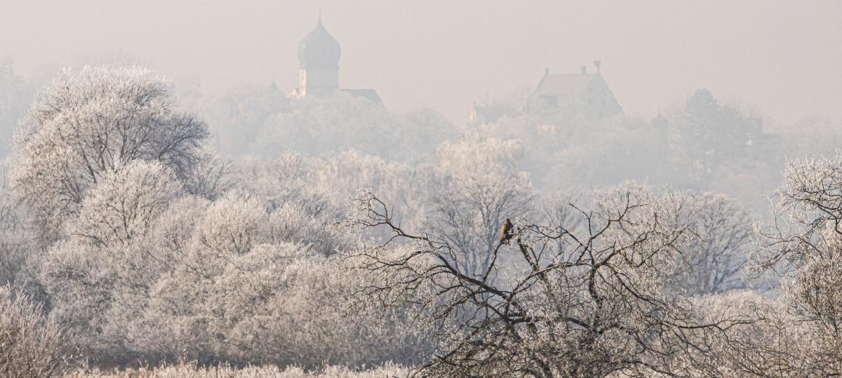 Zauberhaft: Der Nebel verschwindet, das Vöhlinschloss erscheint