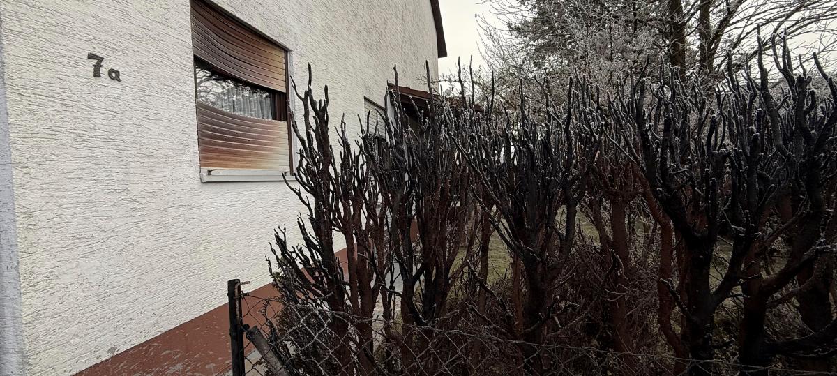 „Kein Zufall mehr“: Anwohner in Sorge nach mehreren Heckenbränden – Polizei ermittelt Täter