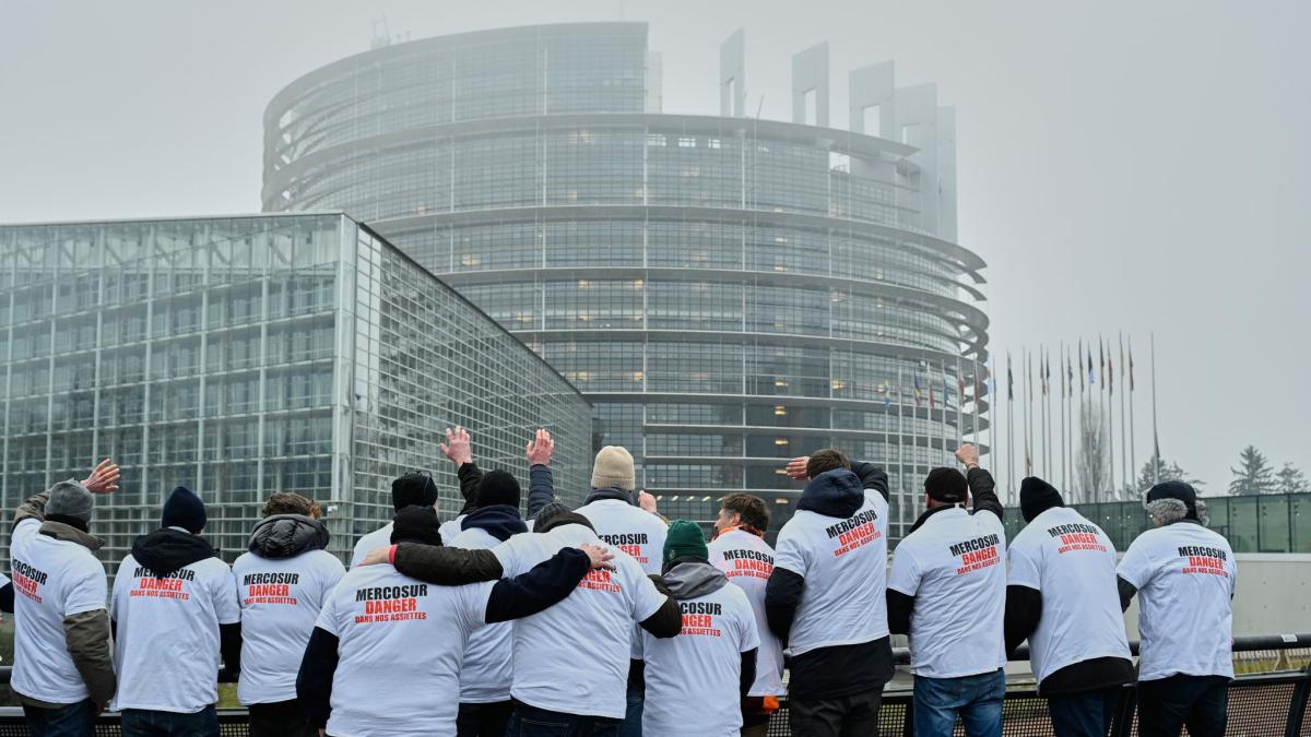 Das-EU-Parlament-bremst-bei-Mercosur