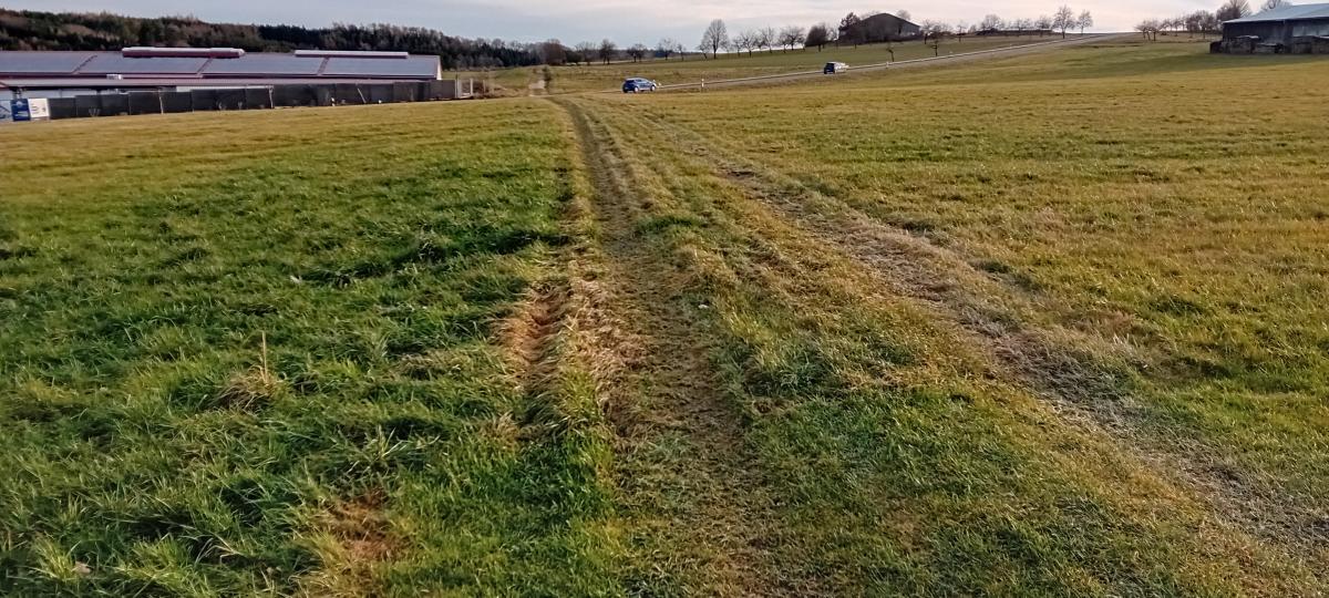 Neues Wohngebiet mit Einfamilien- und Tiny-Häusern in Schießen: Das sind die aktuellen Pläne