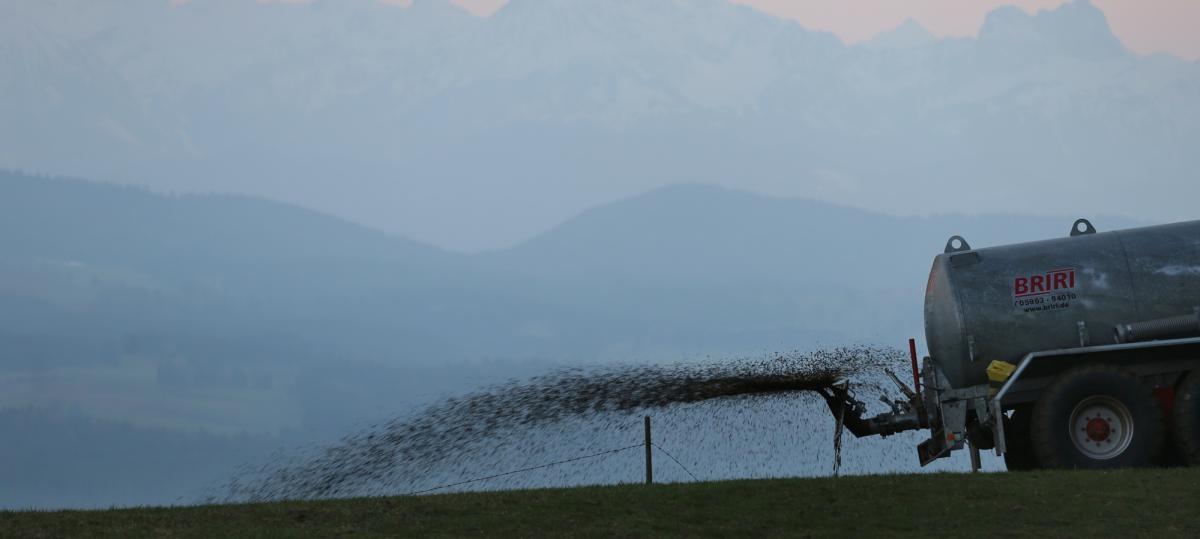 Viele Landwirte missachten Vorgabe: Künftig schärfere Gülle-Regeln