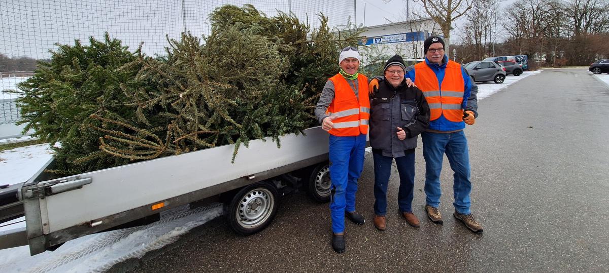 Achte Christbaumsammelaktion