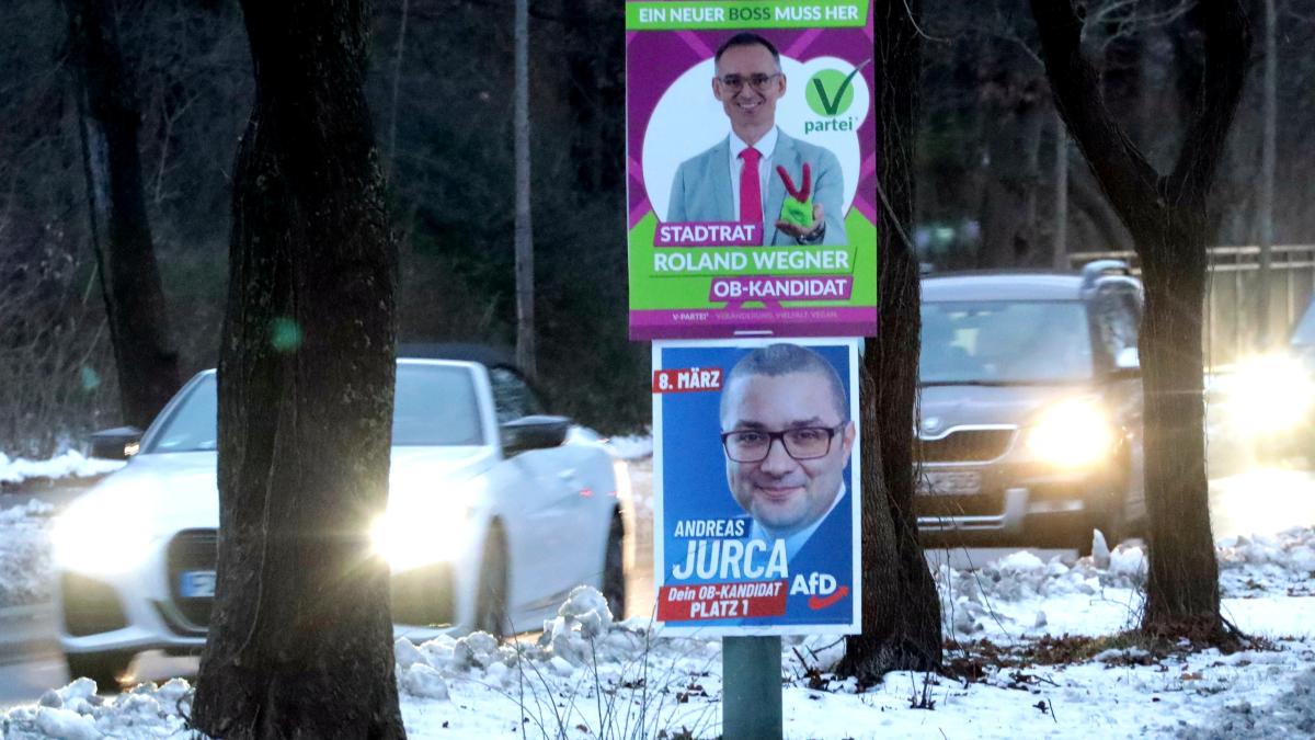 Stadtrat-Roland-Wegner-erstattet-Anzeige-nach-Plakat-rger-mit-der-AfD