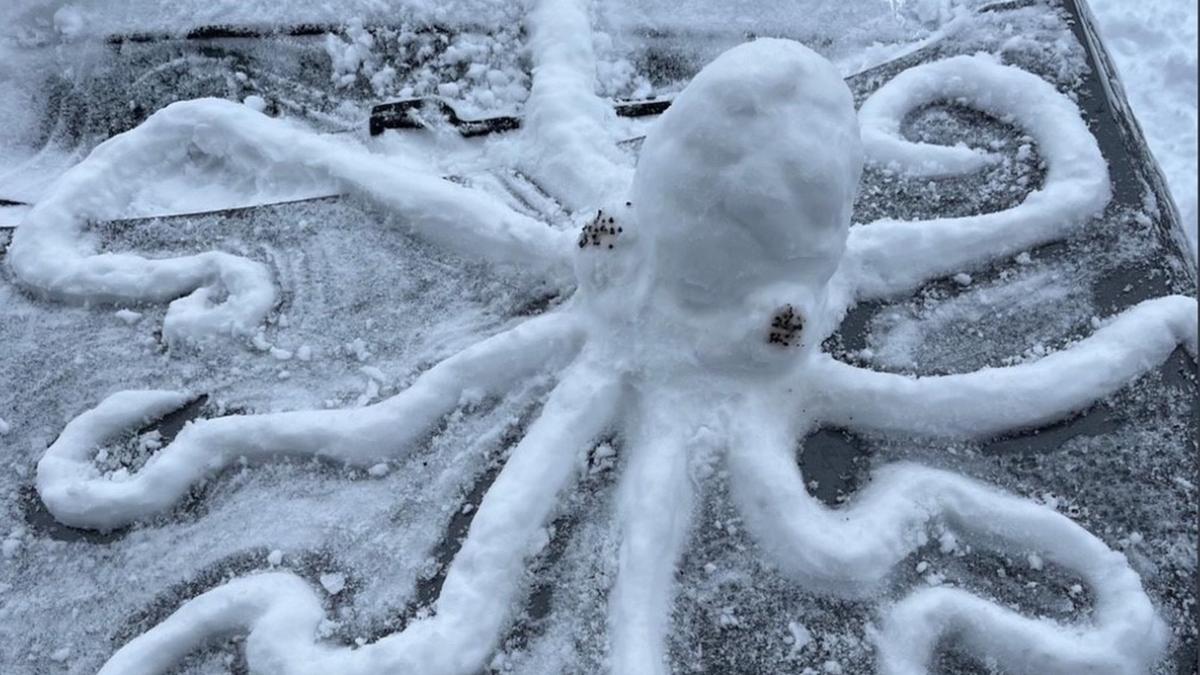 Das-sind-die-kreativsten-Schneefiguren-in-W-rzburg-Schicken-Sie-uns-Ihre-Bilder-zu-