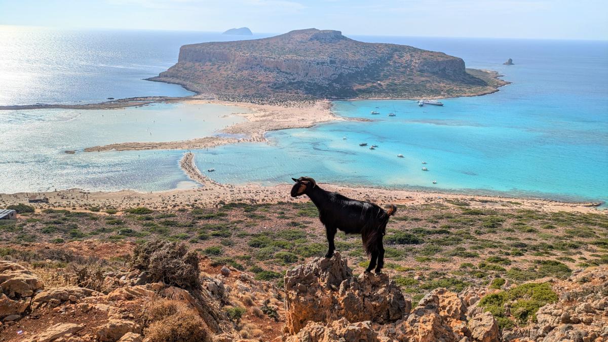 Kreta-Urlaub-Das-sind-die-sch-nsten-Str-nde-mit-Bildern
