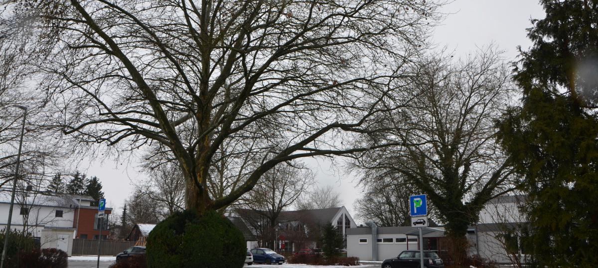Jetzt fehlt Jedesheim noch das Quäntchen Glück zur Aufnahme in den Fördertopf
