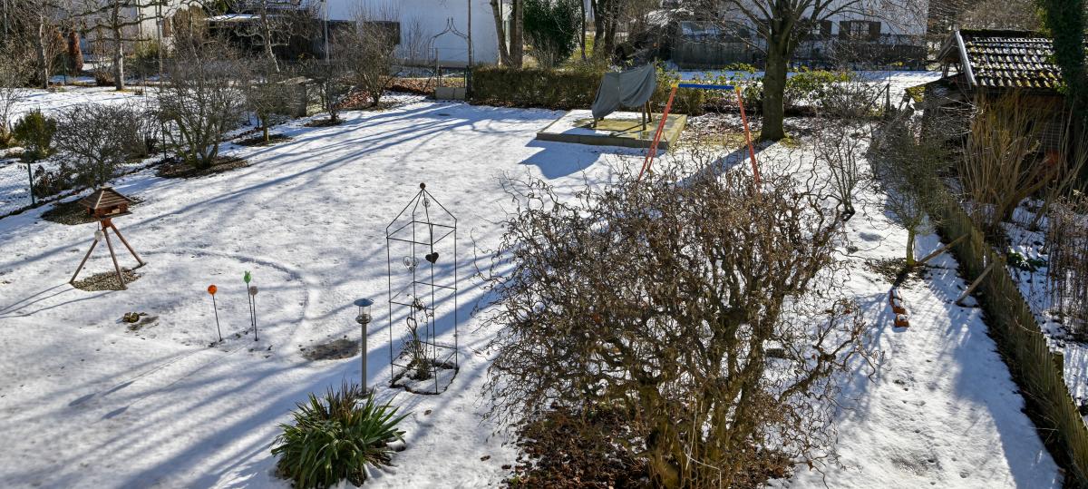 Hunde reißen Kaninchen? Frau fühlt sich hilflos