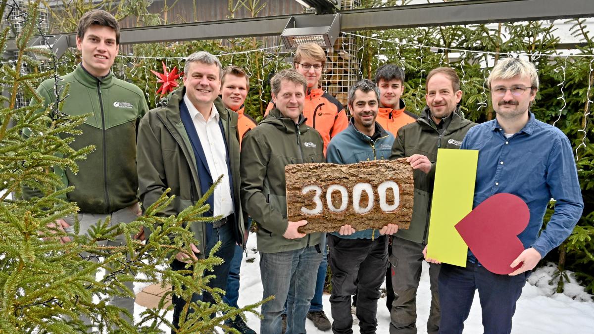 Spende-aus-dem-Christbaumverkauf-in-W-rleschwang