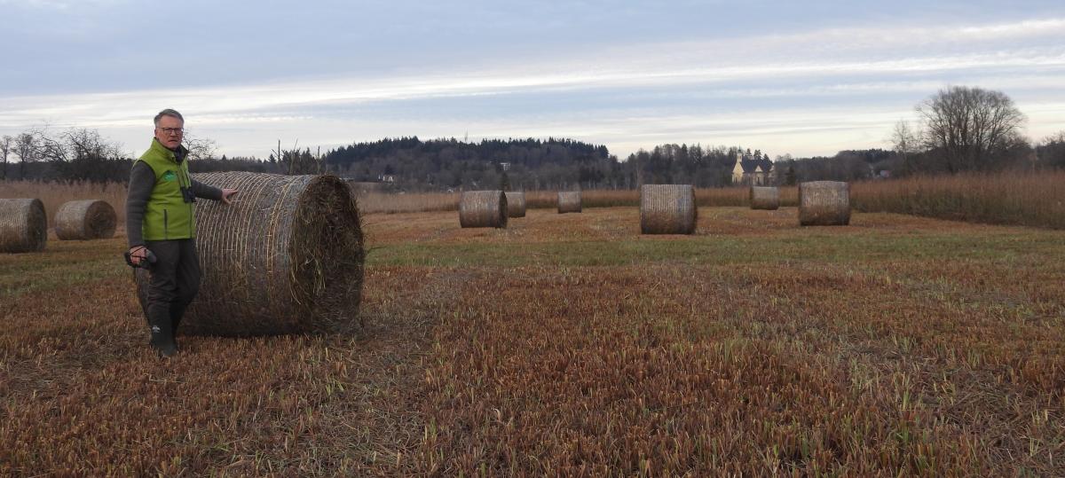Streuwiesen sind Kulturerbe und wertvoll für Natur und Klima