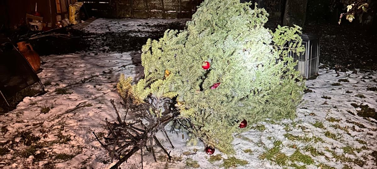 Christbaumbrand sorgt für Einsatz der Feuerwehr