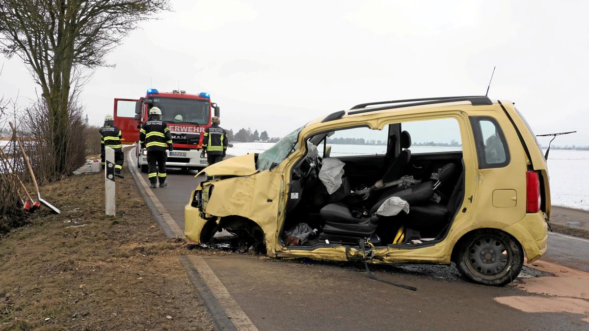 33-J-hrige-f-hrt-mit-dem-Auto-bei-Donaualtheim-gegen-einen-Baum