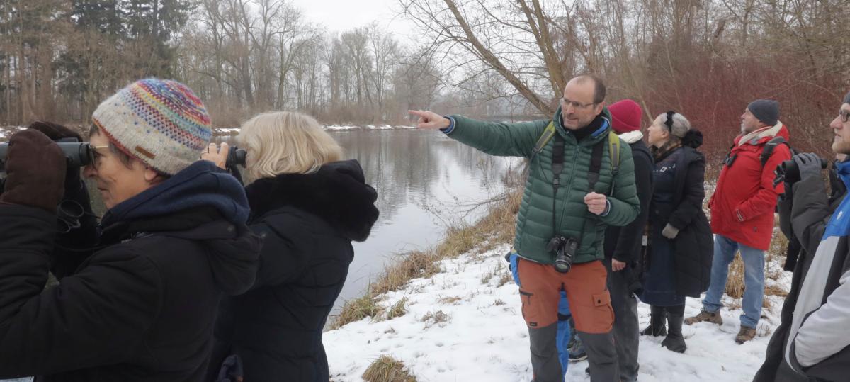 Vogelbeobachtung an der Wertach in Göggingen