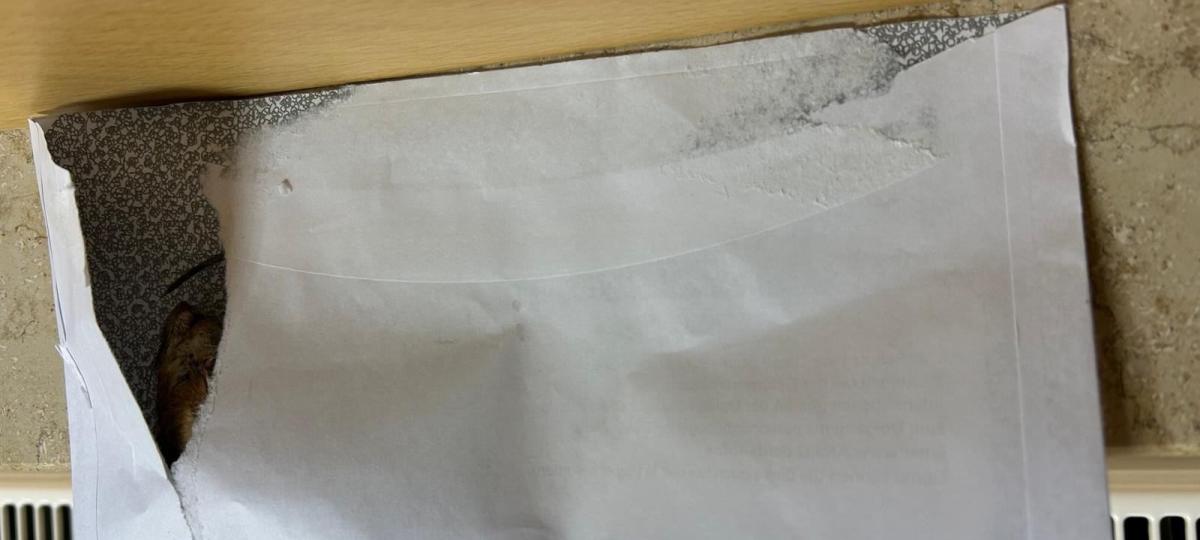 Inhalt eines anonymen Briefumschlags schockiert den Pähler Bürgermeister