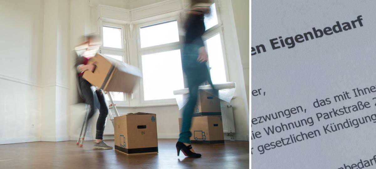 „Als die Wohnung dann abgesoffen ist, hatten wir richtige Schadenfreude“