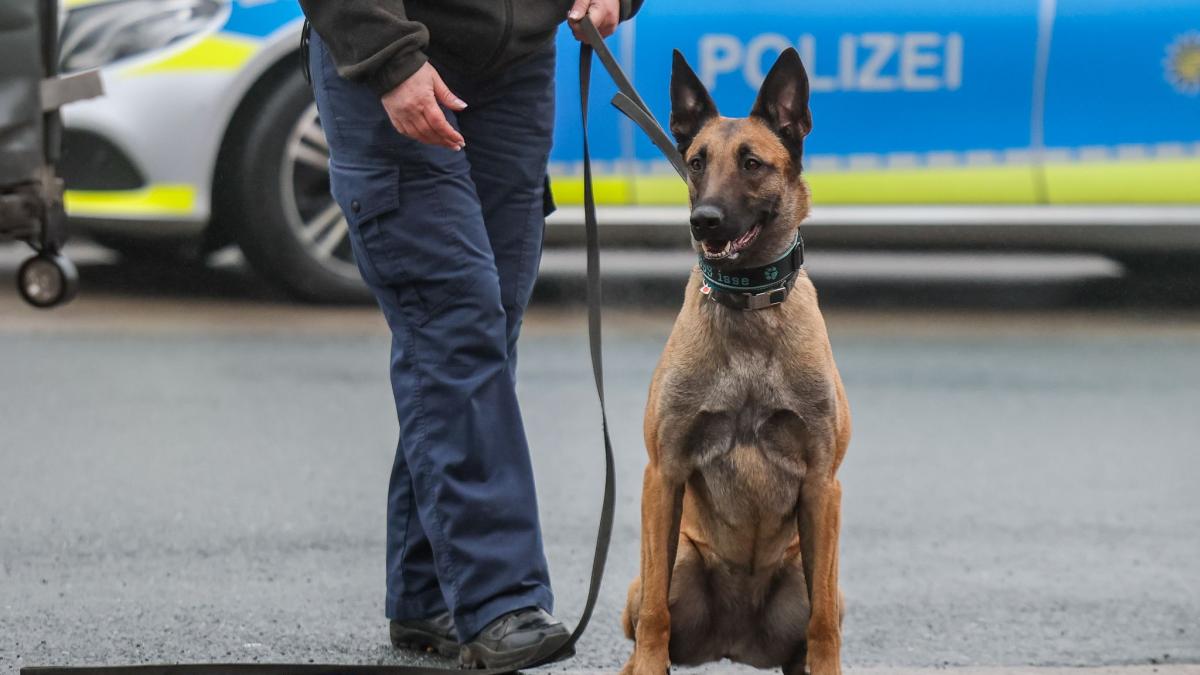 Kokain-und-Bargeld-bei-Drogenrazzia-in-Schrobenhausen-Drei-mutma-liche-Dealer-in-Haft