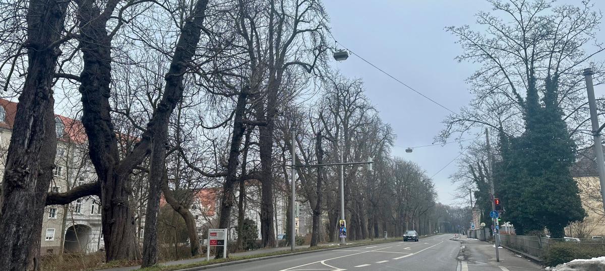 Bürgerbegehren fordert Tram-Ring um die City – doch die Stadt sieht keinen Nutzen