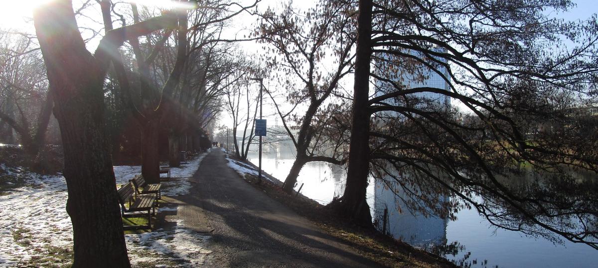 Donauuferweg-Verbreiterung startet: Sperrung wegen Baumfällarbeiten