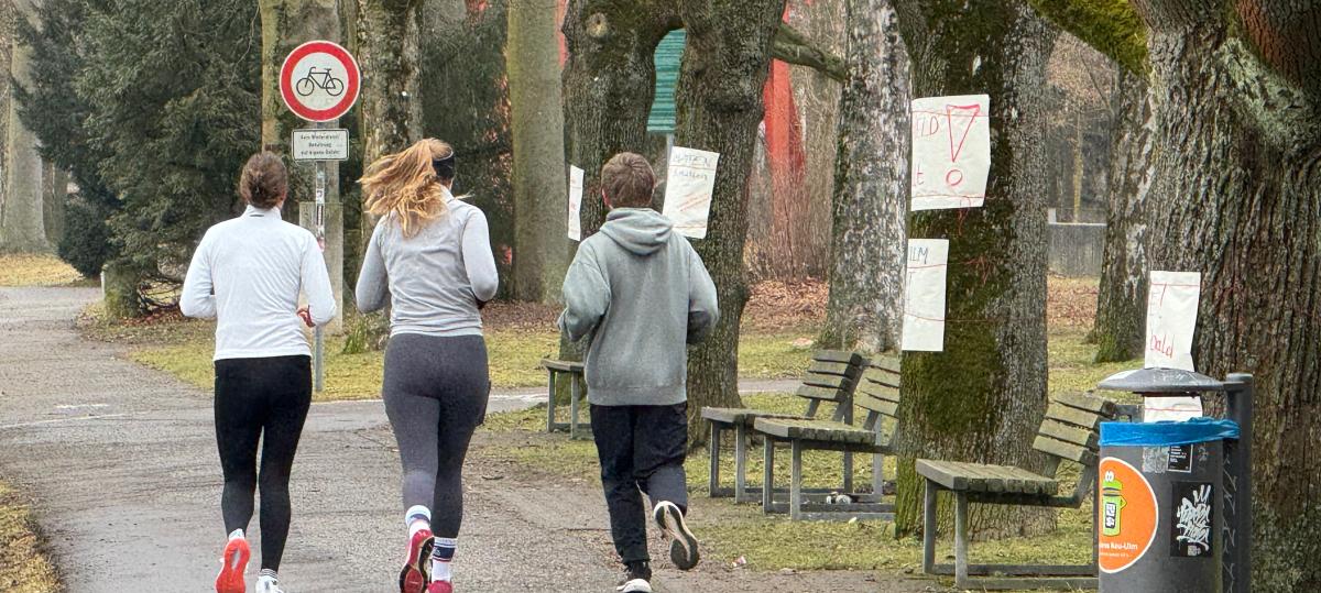 Protest zeigt Wirkung: Baumfällung am Neu-Ulmer Donauufer abgesagt