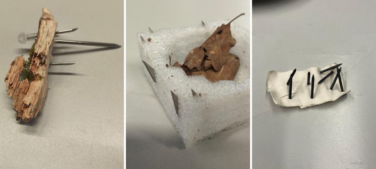 Mehrere gefährliche Trittfallen im Wald ausgelegt: Polizei ruft zur Vorsicht auf