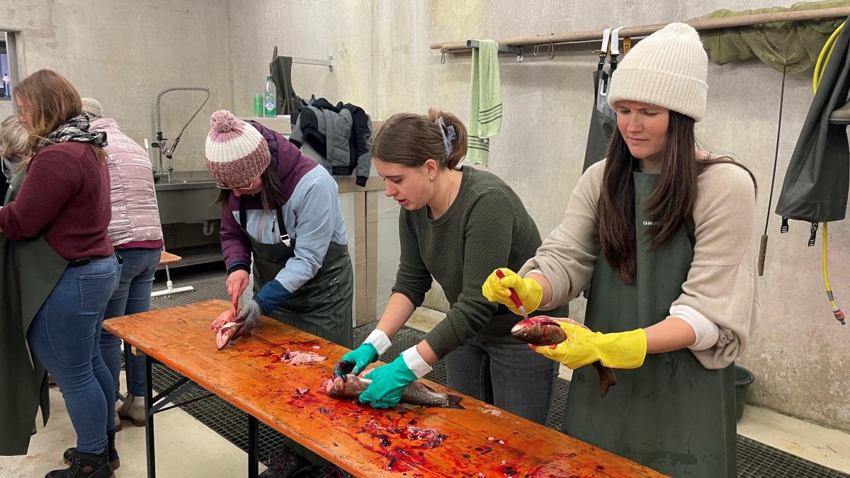 Vom-Teich-auf-den-Teller