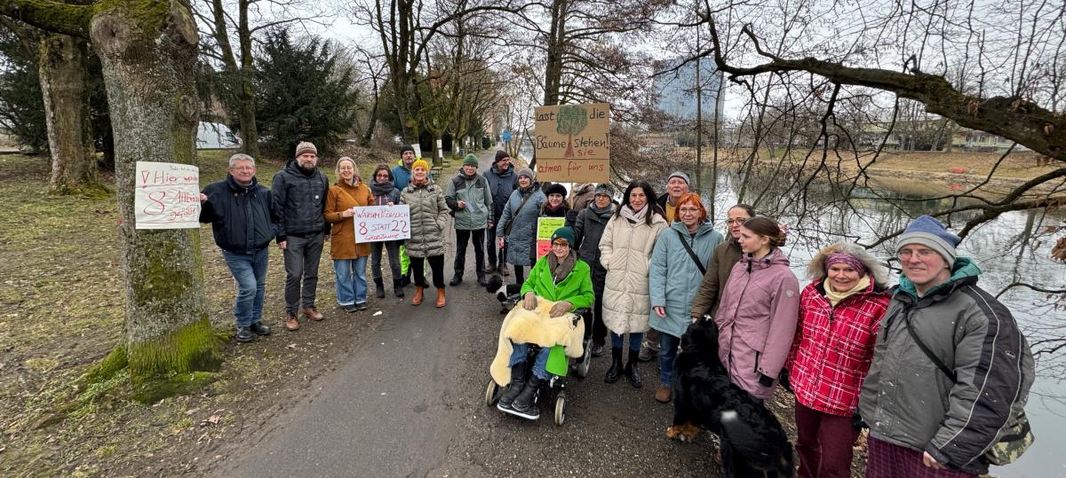 „Lasst die Bäume stehen!“ – Protest gegen Fällung von acht Großbäumen am Neu-Ulmer Donauufer
