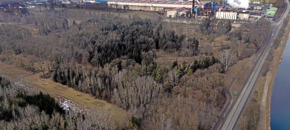 Das sagt der Verwaltungsgerichtshof über die Rodung bei den Lech-Stahlwerken