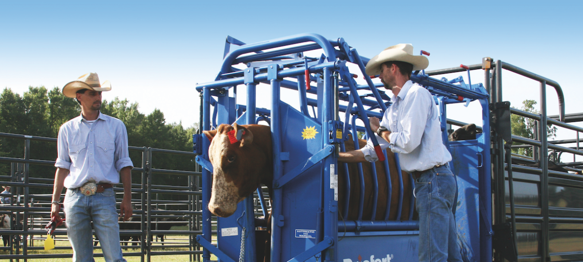 Sicherheitsprodukte für Stall und Weide: Dritte Generation übernimmt bei Texas Trading