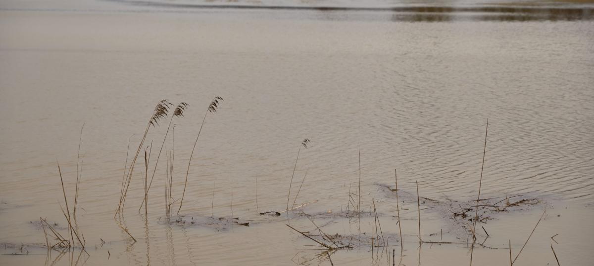 Hochwassergefahr: Wo in Bayern Überschwemmungen drohen