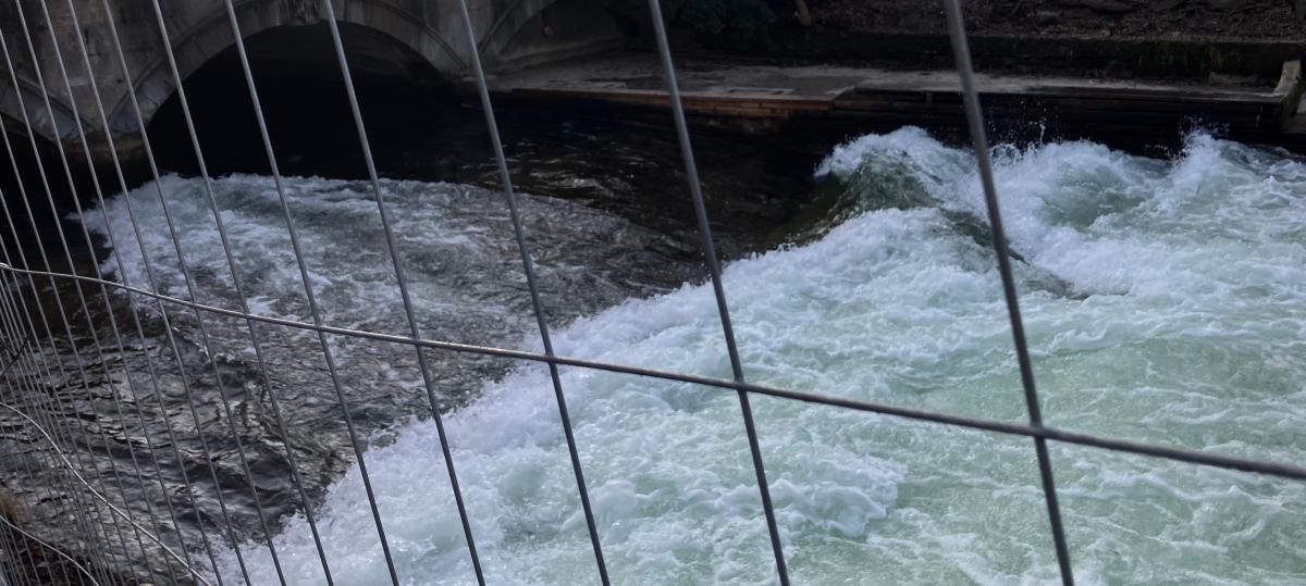 München verbietet Surfen auf der Eisbachwelle: „Wir können nur noch den Kopf schütteln“