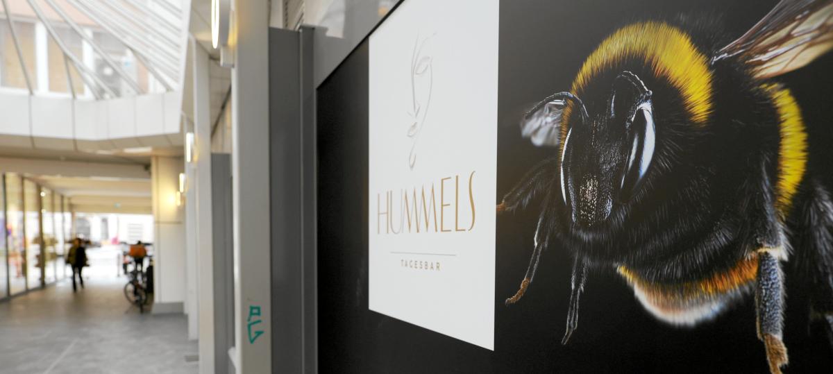 Augsburger Hummelpassage: Eine Tagesbar soll den Durchgang wieder aufwerten