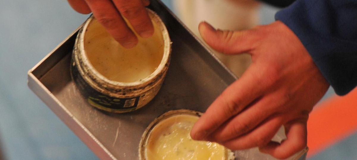 Der TSV Landsberg verliert talentierte Nachwuchs-Handballer wegen Harz-Verbot