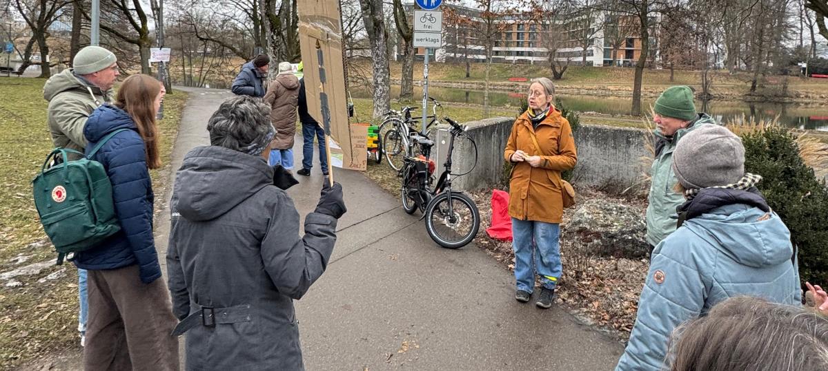 Bäume am Donauufer werden kommende Woche gefällt: Stadt äußert sich zu offenen Fragen