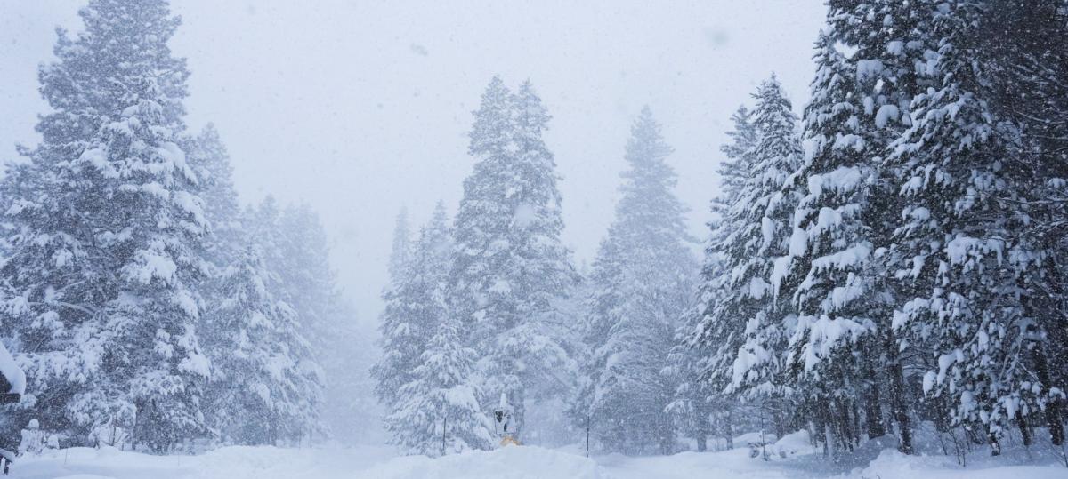 Schneesturm bei Reutte: Elf Kinder und Jugendliche aus dem Raum Augsburg gerettet