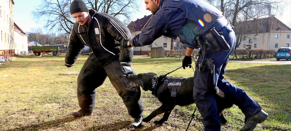 Leerstehende Häuser in Illertissen: Polizeihunde beißen zu
