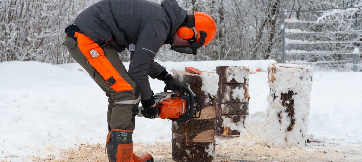 Forstlicher Wettbewerb mit Teilnehmern aus dem Landkreis Landsberg