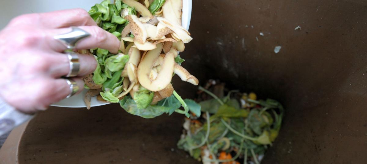 Die Stadt Vöhringen will künftig „Biowertstoff“ nach Weißenhorn liefern