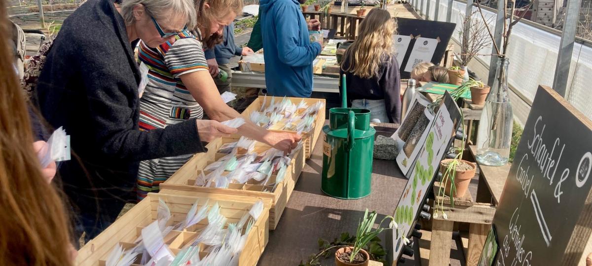 Markt bietet lokales Saatgut aus dem Landkreis Weilheim-Schongau